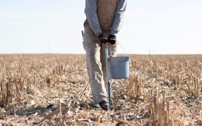 The SCN Coalition recommends using soil test results to develop a management strategy