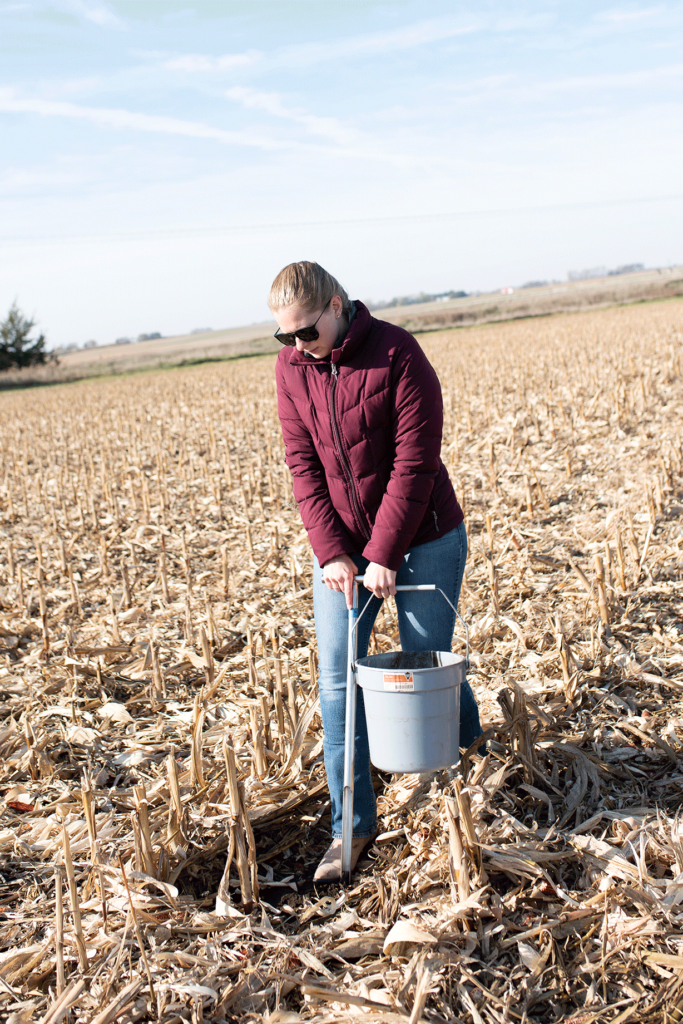Soil testing in fall