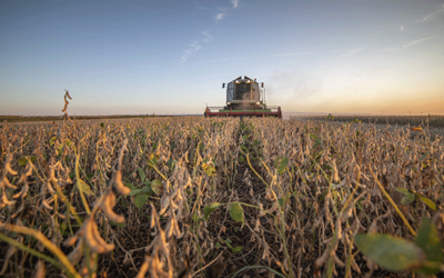 Let’s Talk Todes Video Series Highlights Why SCN is the No. 1 Yield-grabbing Pest of Soybeans