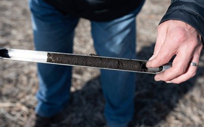 Southern Soybean Growers Face Multiple Nematode Threats