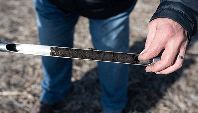 Soil samples to test for SCN threats in the south