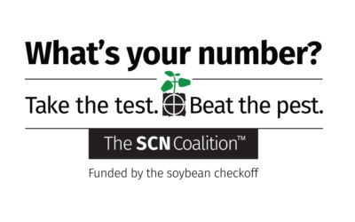 SCN Experts Share How to Put SCN Soil Test Results into Action