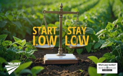 Proactive Management Helps Keep SCN Populations Low