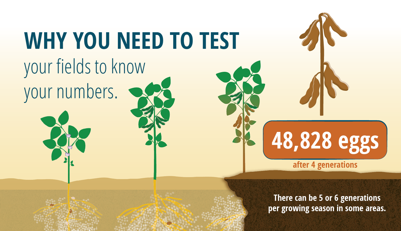 Why you need to test your fields for SCN infographic