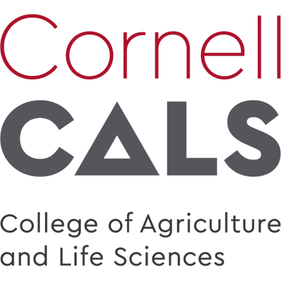 Cornell University