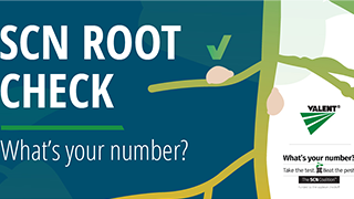 The SCN Coalition and Valent Join Forces to Encourage Farmers to Check Roots for Soybean Cyst Nematode