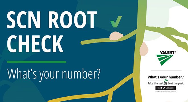 SCN root check
