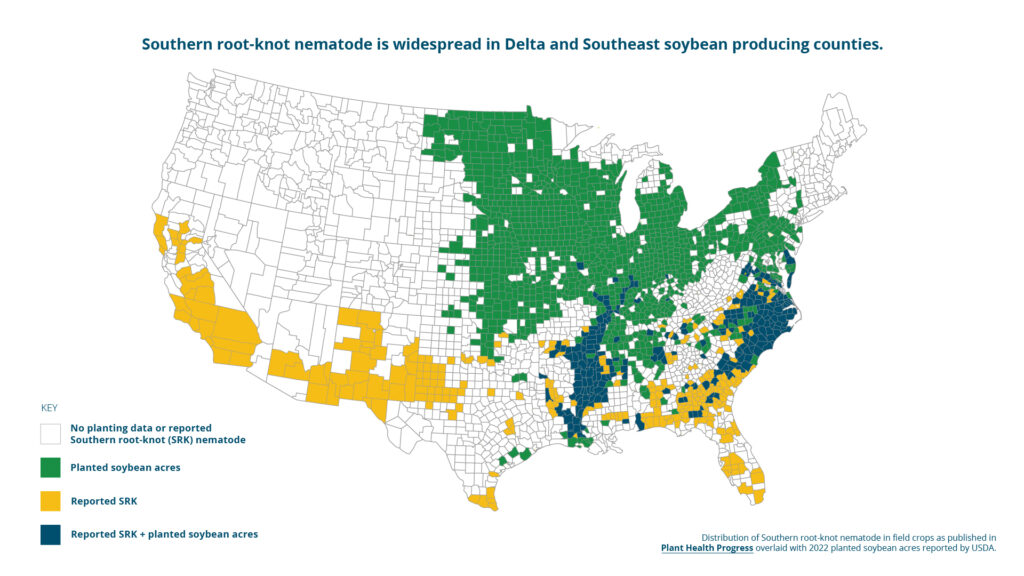 A map showing Southern Root Knot infestations