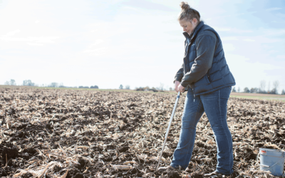 BASF and The SCN Coalition Encourage SCN Soil Tests During Third Annual SCN Action Month
