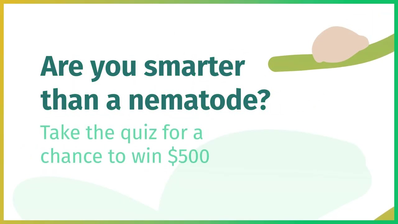 National Nematode Day: Are you smarter than a nematode?