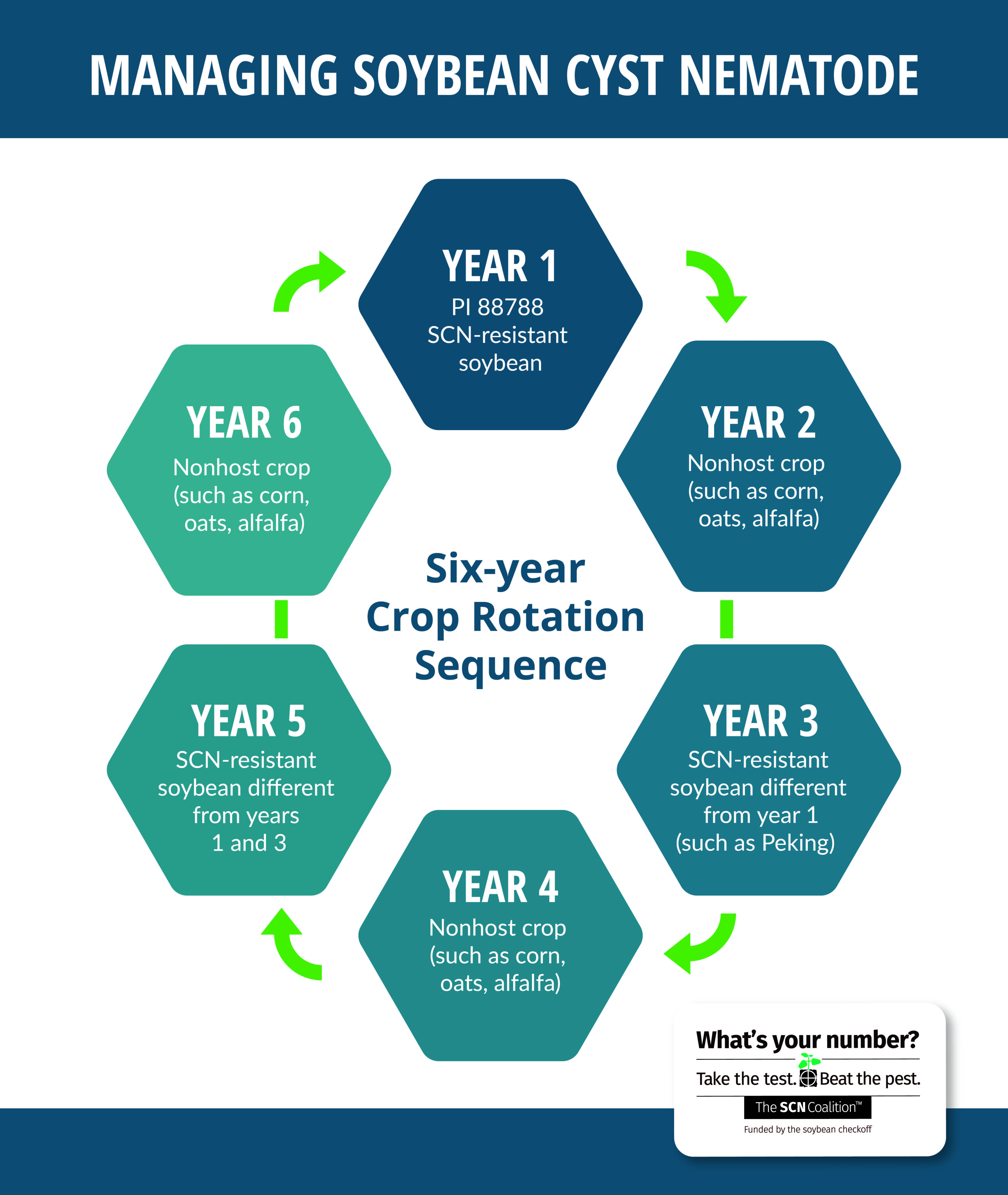 A graphic showing a 6 year crop rotation sequence