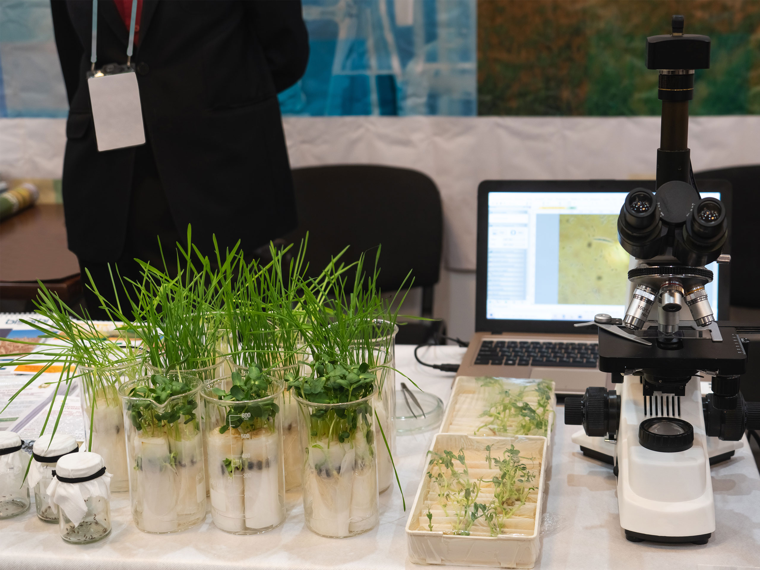 Soybeans in containers next to a microscope.