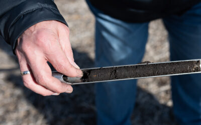 Spring Soil Sampling Tips to Combat SCN