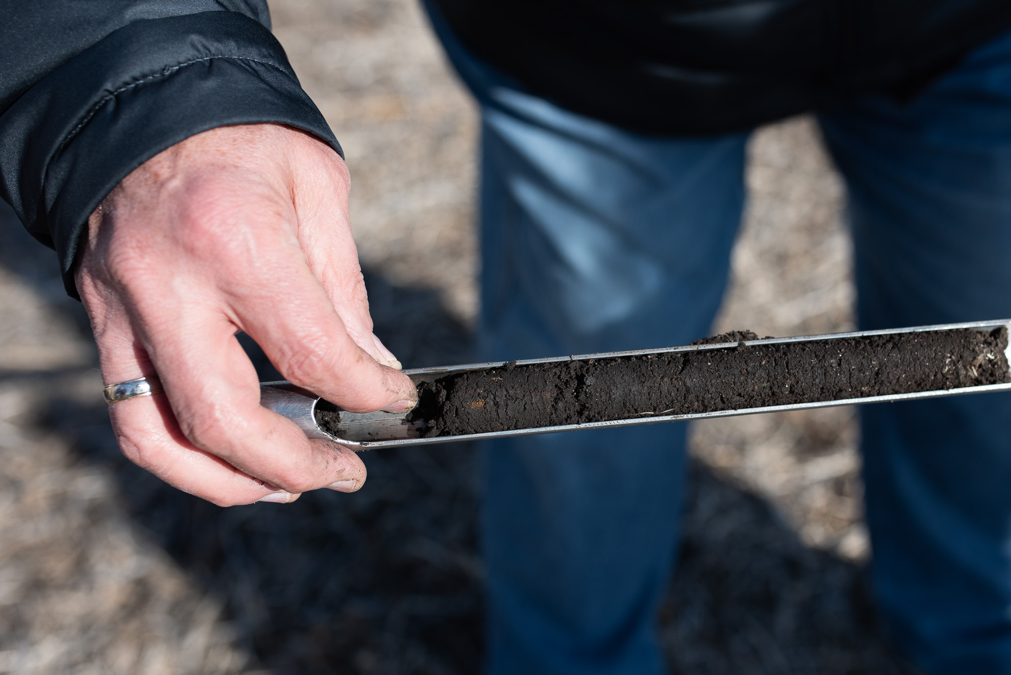 An individual holds a soil probe with a soil sample in it.