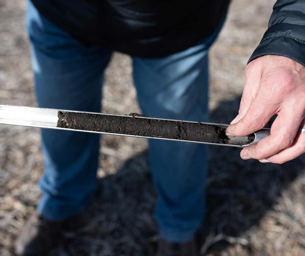 Photo of testing soil for SCN