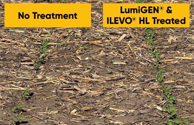 Treatment comparison 