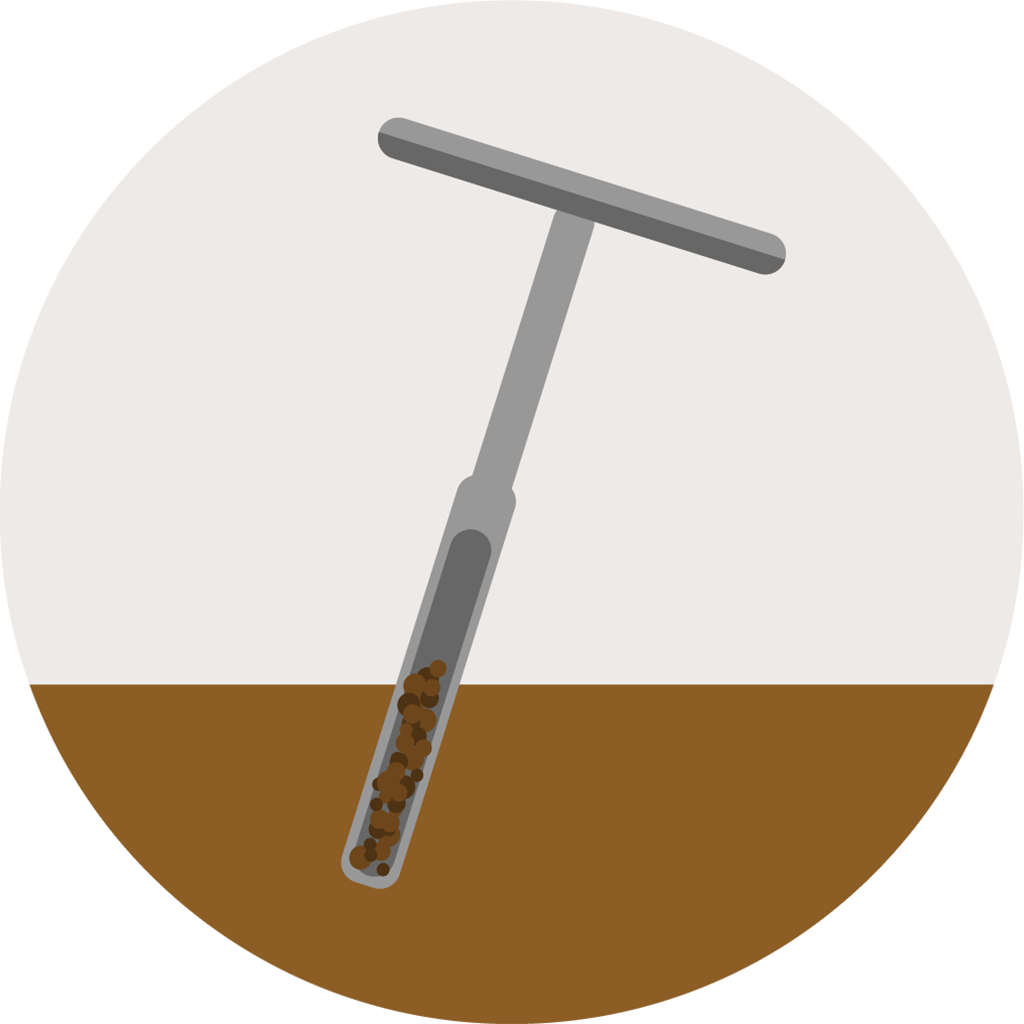 soil sample