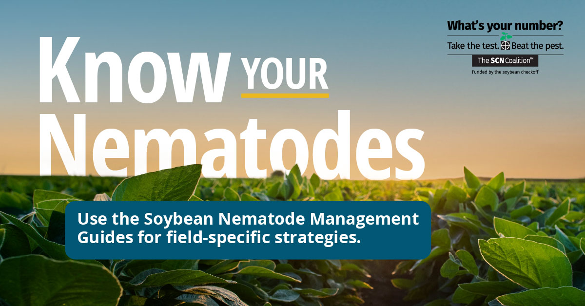A field of soybeans at sunset. The graphic shows the words know your nematodes followed by use the soybean nematode management guides for field-specific strategies. The SCN Coalition logo is visible in the upper right corner.