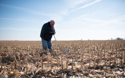 Iowa Research Shows SCN Continues to Adapt to PI 88788 Resistance